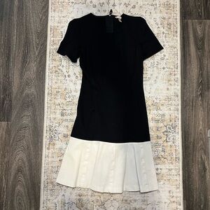 Banana Republic Black and White Mini Dress